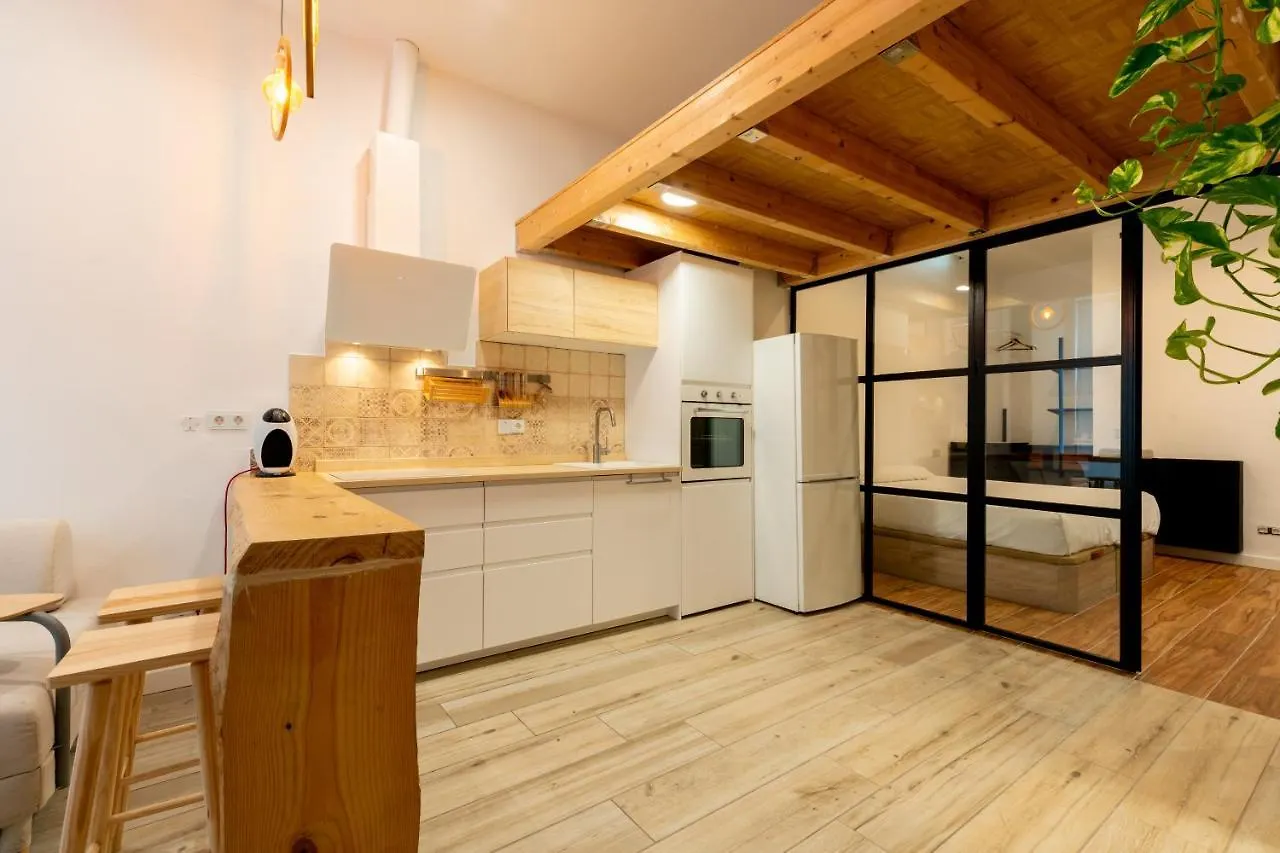 Holi-Rent Luis Montoto Apartment Seville Spain